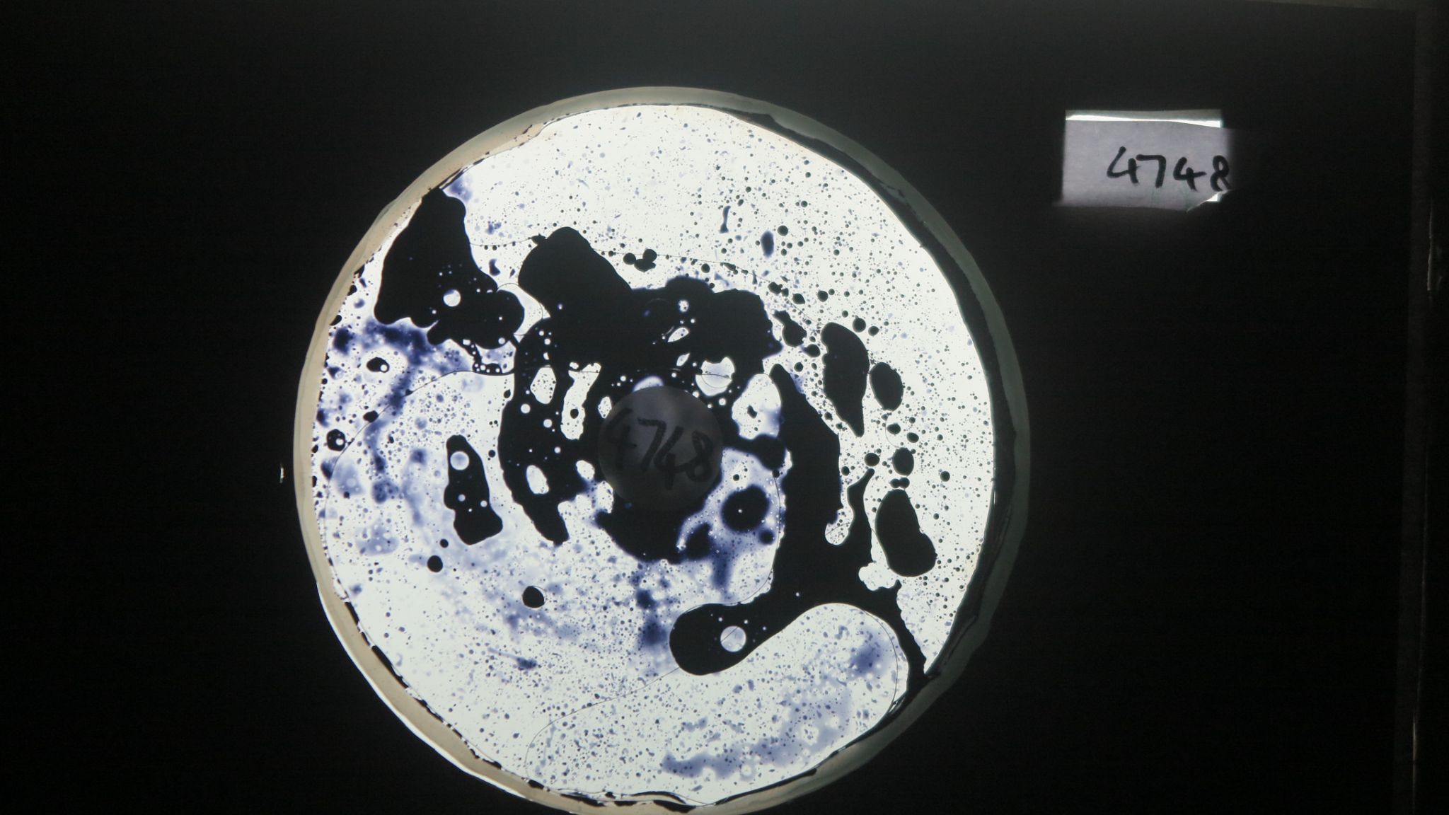 BV4748 bubble vision oil wheel